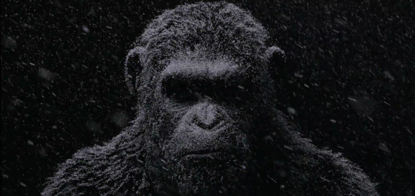 war-for-the-planet-of-the-apes-movie-trailer-official-image