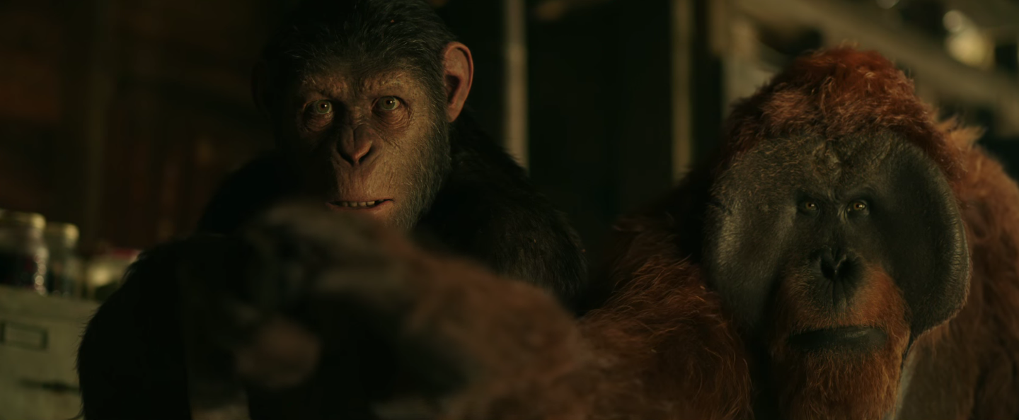 Image result for war for the planet of the apes 